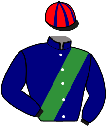 Casaque du n°9 — MILLONGA VRIE