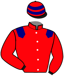 Casaque du n°13 — MADONETTE