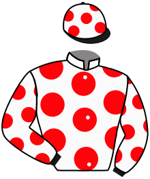 Casaque du n°10 — JALONADO