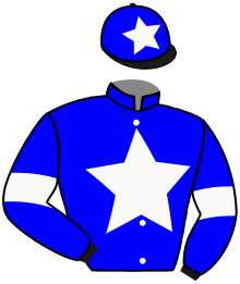 Casaque du n°2 — CALIFORNIA SPRING