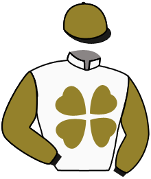 Casaque du n°5 — REZAGADO