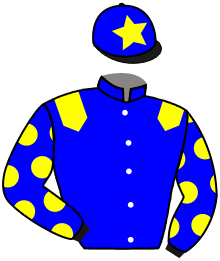 Casaque du n°1 — ALL STARS