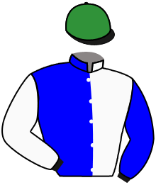 Casaque du n°9 — ATTIS
