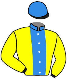 Casaque du n°2 — EVANTON