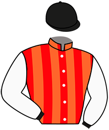 Casaque du n°5 — VALLE SALVAJE