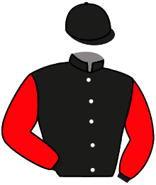 Casaque du n°8 — NOTABLE DON