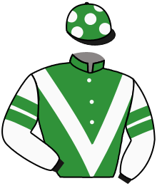 Casaque du n°4 — GUARDIA IMPERIAL