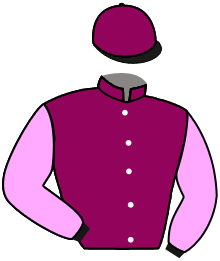 Casaque du n°2 — DELTA DAN