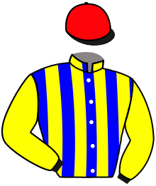 Casaque du n°8 — GALASSI