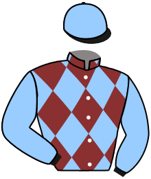 Casaque du n°10 — VAPOA