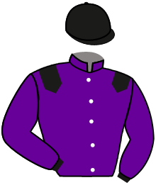 Casaque du n°4 — ROYAL SHAKE