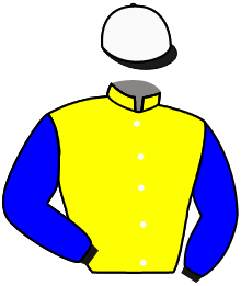 Casaque du n°13 — OCEAN STAR
