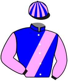 Casaque du n°5 — MEISHO SUGAR