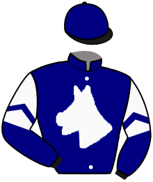 Casaque du n°11 — BATESCA