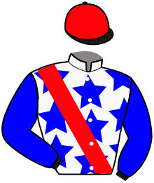 Casaque du n°13 — ONE EDITION