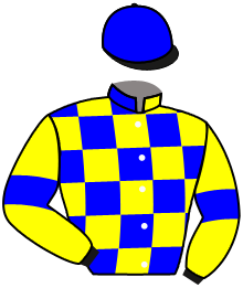 Casaque du n°2 — DARYA