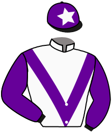 Casaque du n°12 — BEST LOOKING