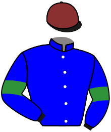 Casaque du n°14 — DARK ZEL