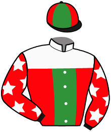 Casaque du n°11 — IDEAL DANCER