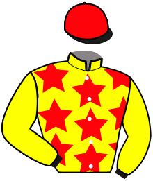 Casaque du n°7 — NEAL DE PERVENCHE