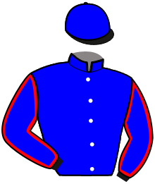 Casaque du n°3 — MEGAFLO BELLO