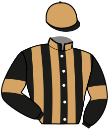 Casaque du n°5 — MAX MANUS
