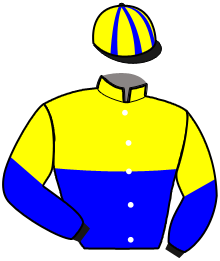 Casaque du n°8 — MAHARADJAH ROYAL