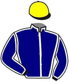 Casaque du n°1 — LYLAS DES CAUX