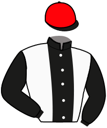 Casaque du n°4 — MAYFLOWER DULONRAY