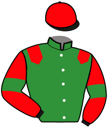 Casaque du n°12 — MIZAR DU FEUILLIEN