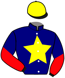Casaque du n°7 — MARACANA DU VIVIER