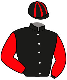 Casaque du n°1 — KONFINEE A BAZOCHE