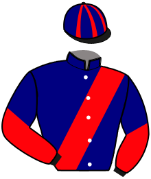 Casaque du n°15 — KASPAROVA