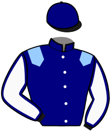 Casaque du n°6 — LUCIANO ROYAL