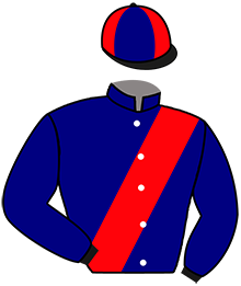 Casaque du n°7 — LUTIN JABA