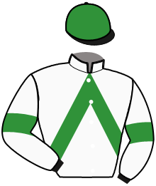 Casaque du n°2 — MARECHAL DU LEVANT