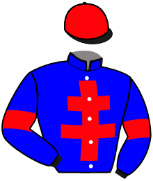 Casaque du n°4 — MAY BLUE