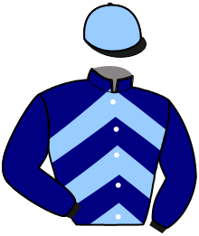 Casaque du n°3 — MAEVA