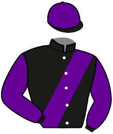 Casaque du n°11 — HAUGAIN