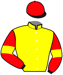 Casaque du n°3 — JASPER DES PRES