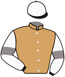 Casaque du n°1 — MR PERCY
