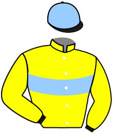 Casaque du n°6 — FAMOUS FIGURE