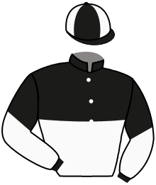 Casaque du n°1 — BAKUTO