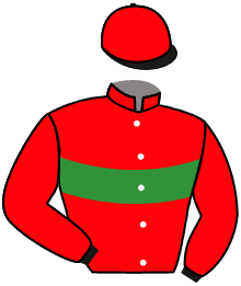 Casaque du n°1 — ARABIAN POWER