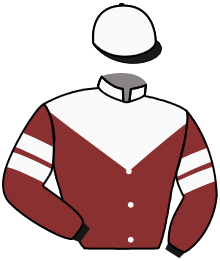 Casaque du n°2 — ALGHERO