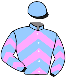Casaque du n°10 — COACH CASE