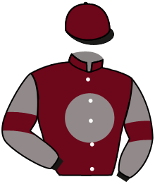 Casaque du n°8 — SICILIAN DEFENSE