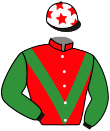 Casaque du n°9 — ROYAL BROWNE