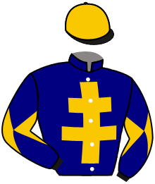 Casaque du n°3 — VALIANT DIVA