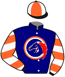 Casaque du n°7 — ZELENA